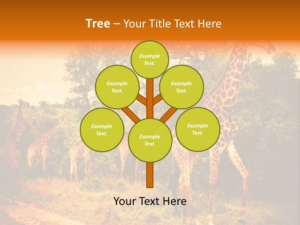 Tourism Grass Kruger PowerPoint Template