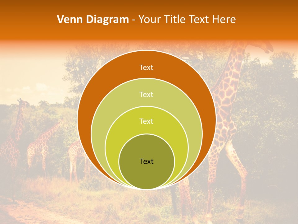 Tourism Grass Kruger PowerPoint Template