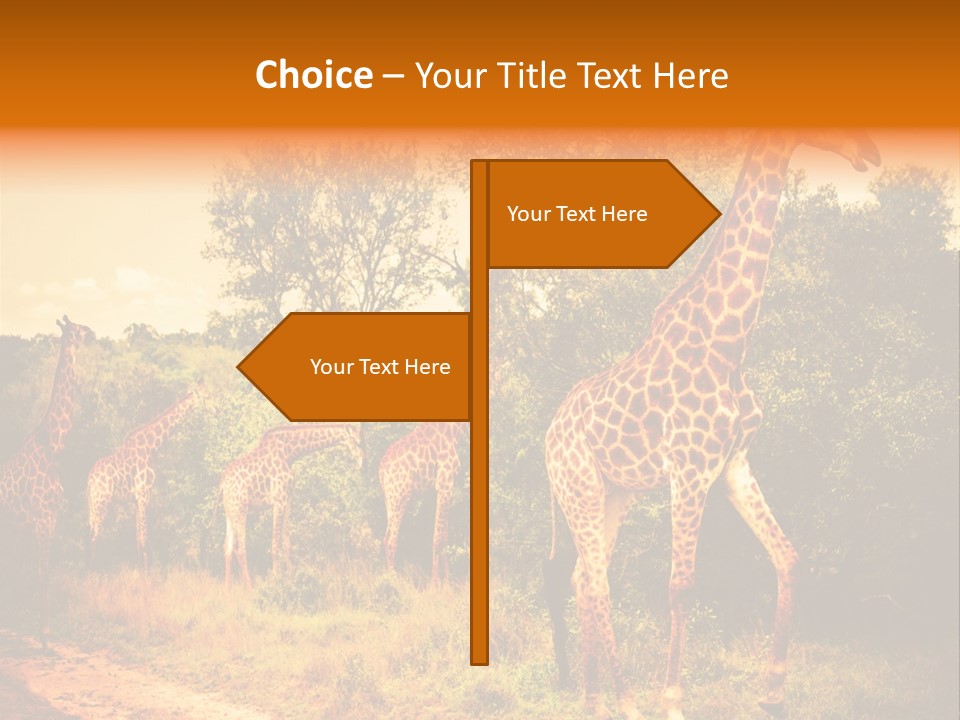 Tourism Grass Kruger PowerPoint Template