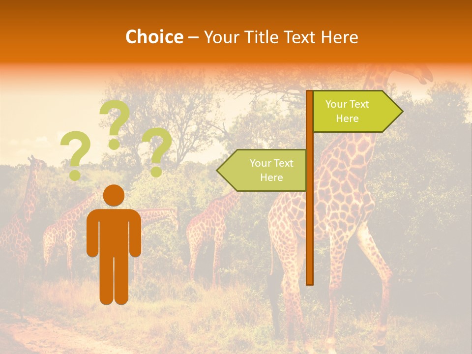 Tourism Grass Kruger PowerPoint Template