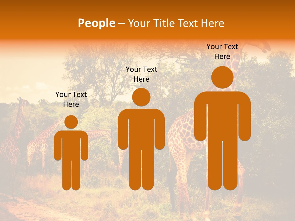 Tourism Grass Kruger PowerPoint Template