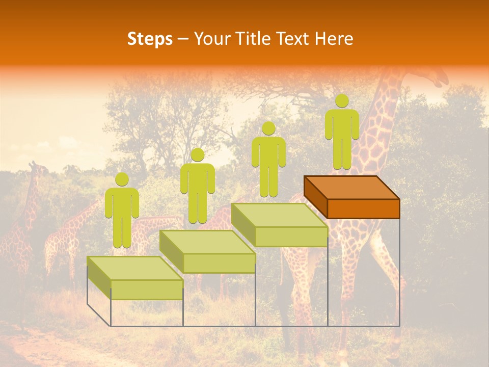 Tourism Grass Kruger PowerPoint Template