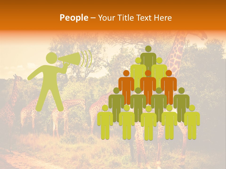 Tourism Grass Kruger PowerPoint Template