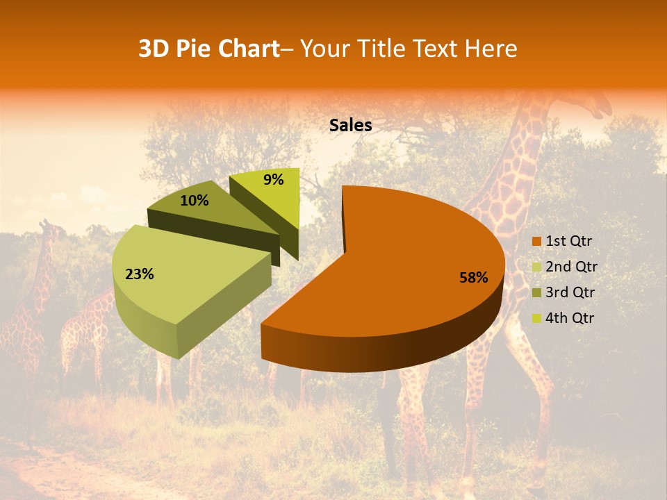 Tourism Grass Kruger PowerPoint Template