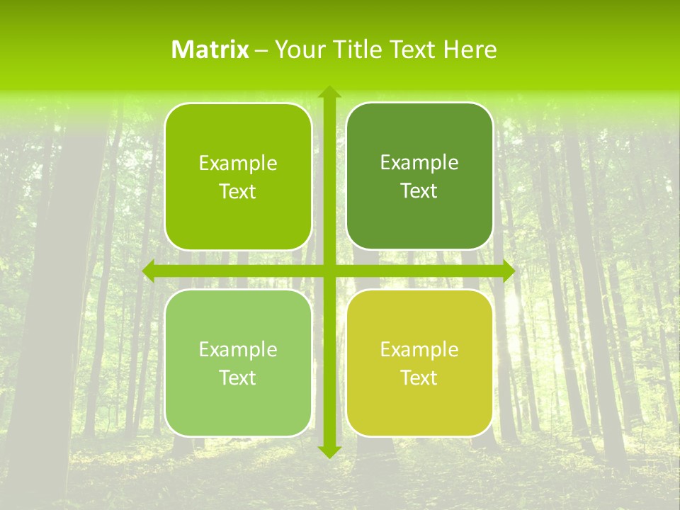 Image Deciduous Lush PowerPoint Template