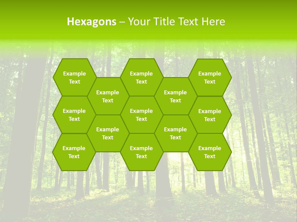Image Deciduous Lush PowerPoint Template