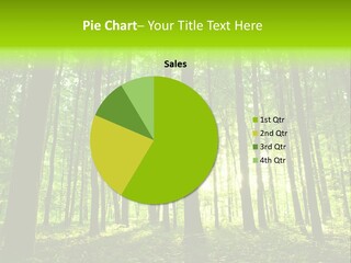 Image Deciduous Lush PowerPoint Template