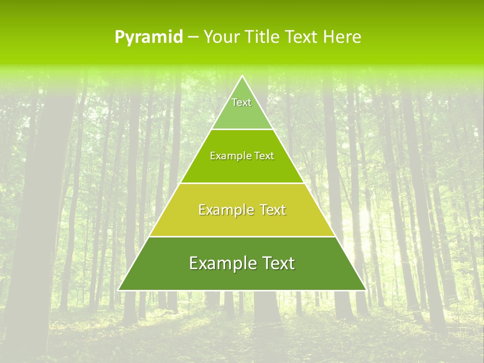 Image Deciduous Lush PowerPoint Template