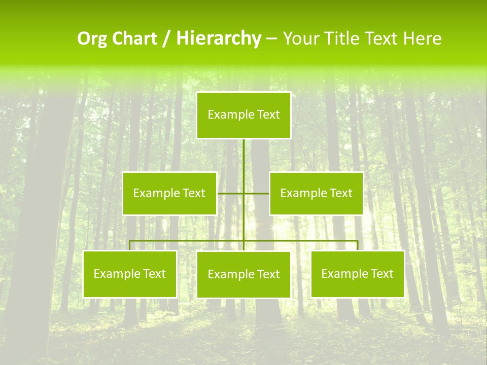 Image Deciduous Lush PowerPoint Template