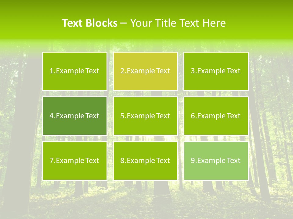 Image Deciduous Lush PowerPoint Template