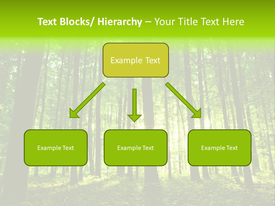 Image Deciduous Lush PowerPoint Template