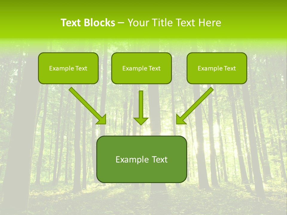 Image Deciduous Lush PowerPoint Template