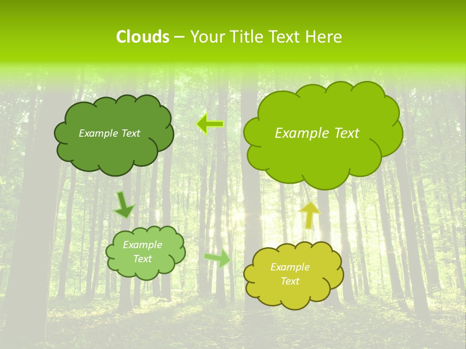 Image Deciduous Lush PowerPoint Template