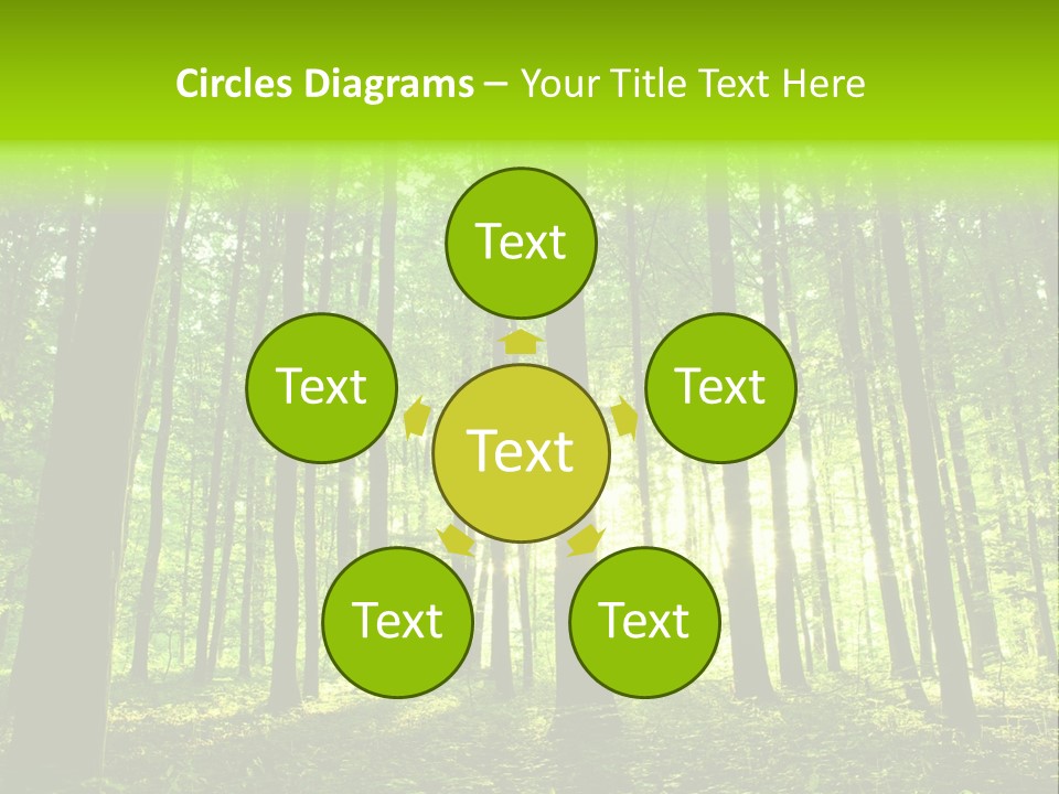 Image Deciduous Lush PowerPoint Template