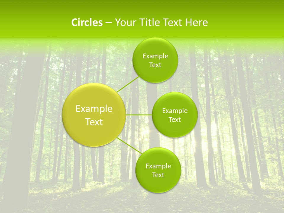 Image Deciduous Lush PowerPoint Template