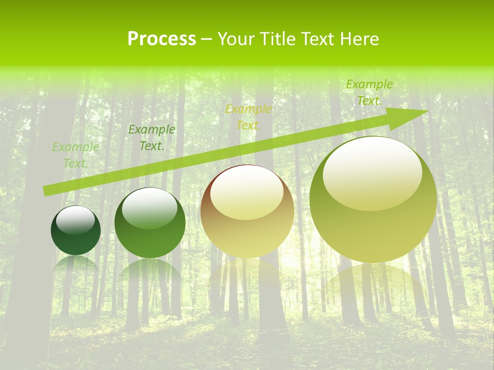 Image Deciduous Lush PowerPoint Template