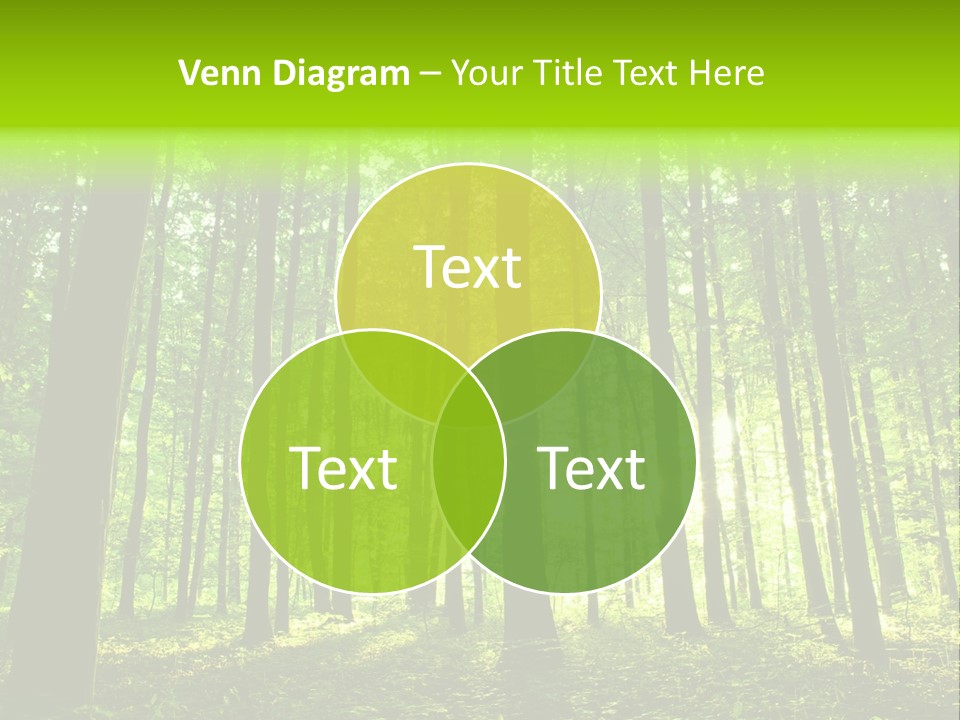 Image Deciduous Lush PowerPoint Template