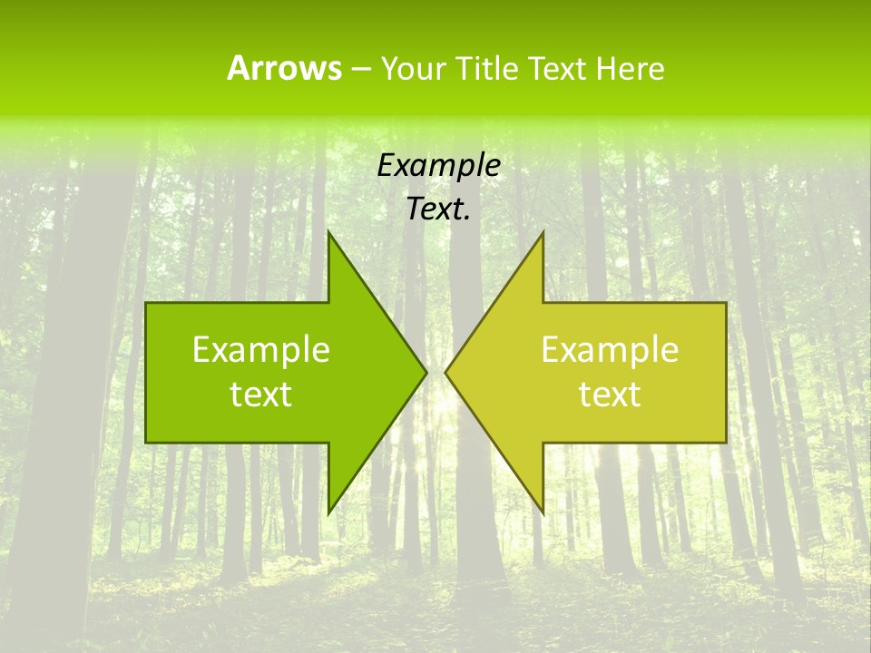 Image Deciduous Lush PowerPoint Template
