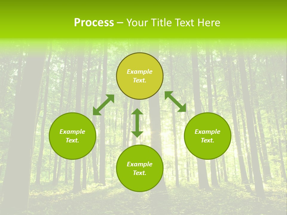 Image Deciduous Lush PowerPoint Template