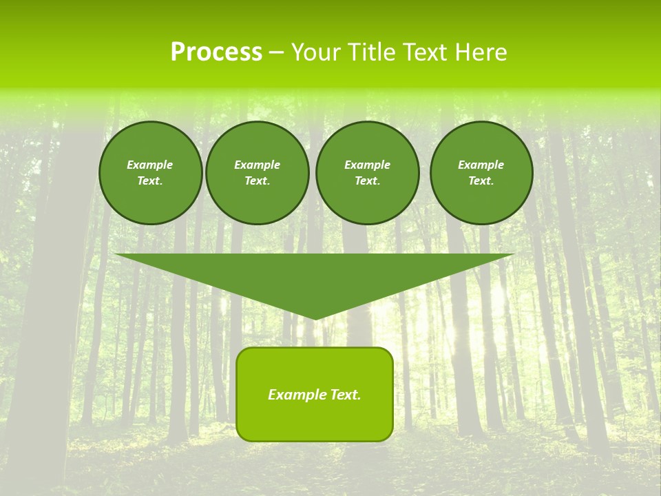 Image Deciduous Lush PowerPoint Template