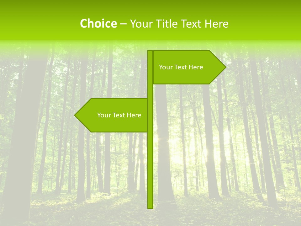 Image Deciduous Lush PowerPoint Template