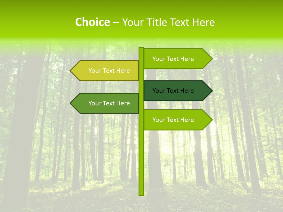 Image Deciduous Lush PowerPoint Template