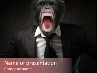 Monkey Primate One PowerPoint Template