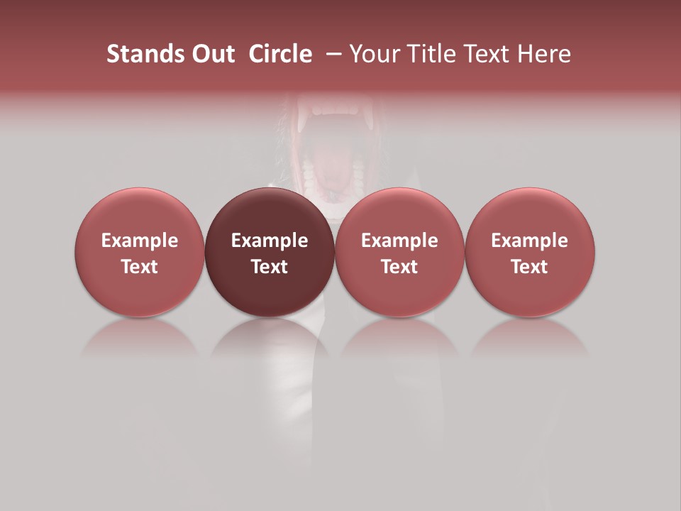 Monkey Primate One PowerPoint Template