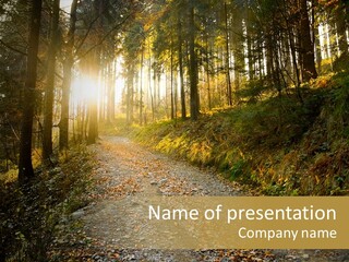 Brunch Ray Rain Forest PowerPoint Template