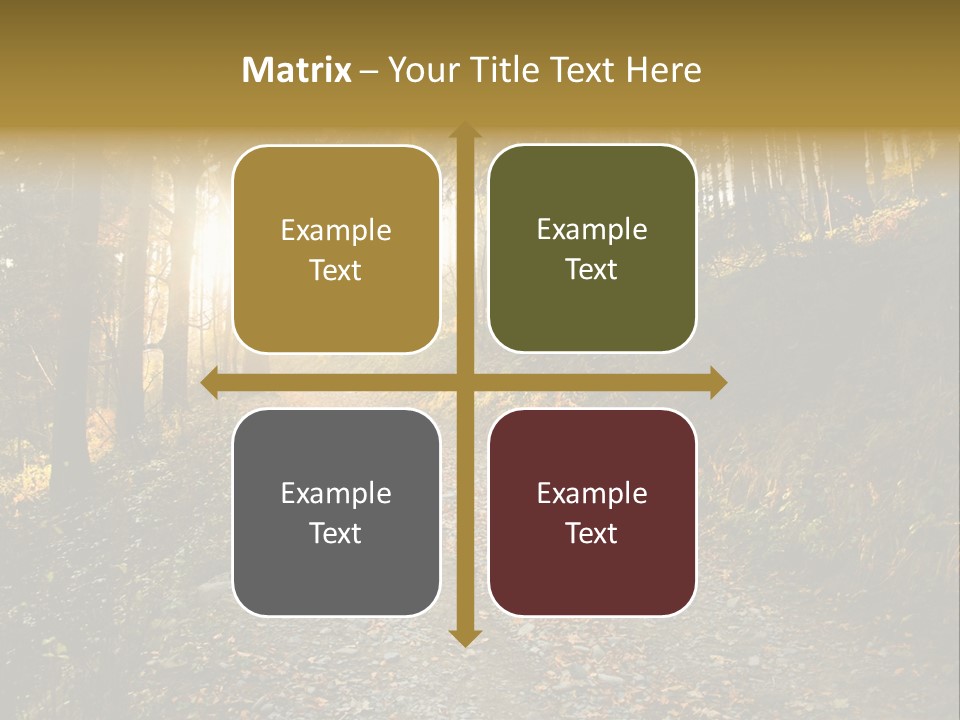 Brunch Ray Rain Forest PowerPoint Template