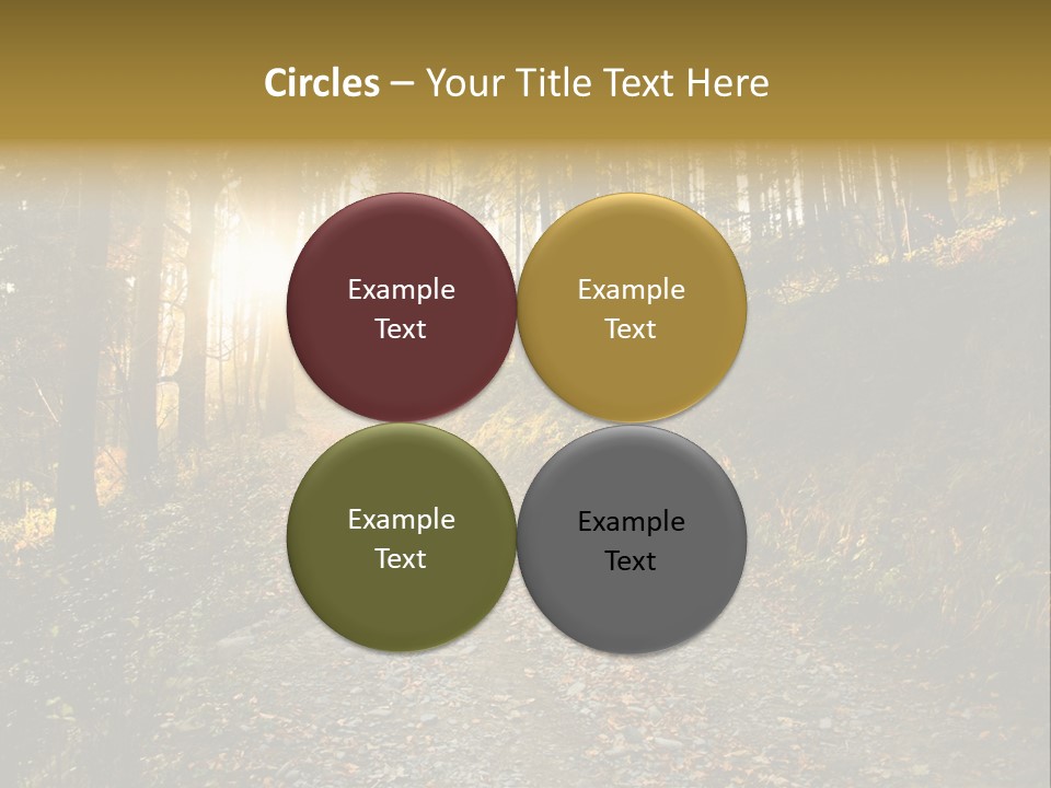 Brunch Ray Rain Forest PowerPoint Template