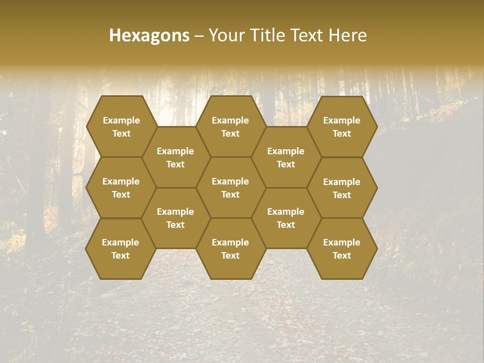 Brunch Ray Rain Forest PowerPoint Template