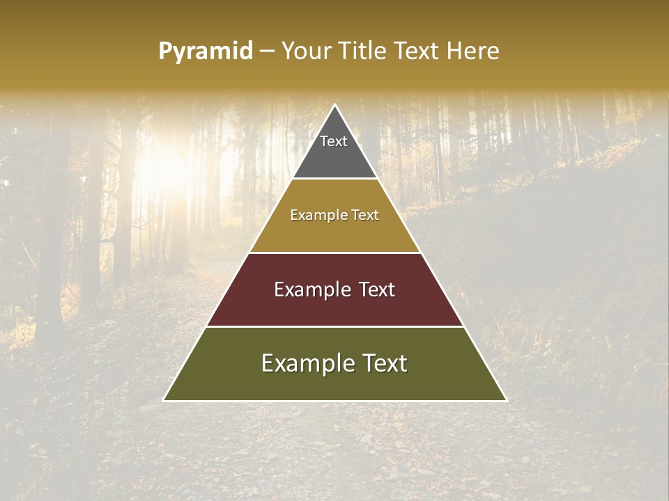 Brunch Ray Rain Forest PowerPoint Template