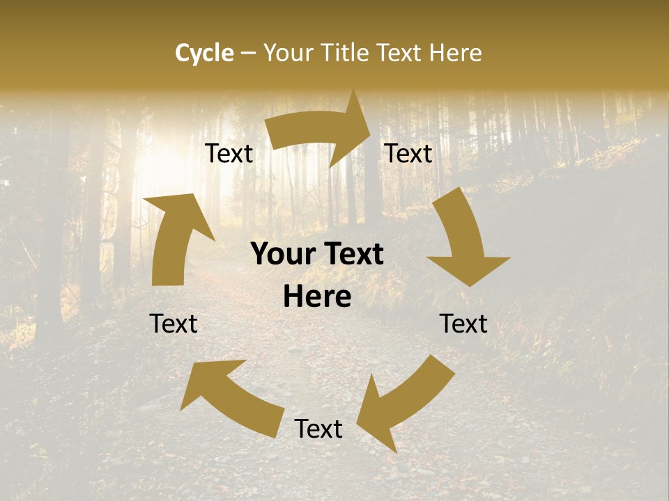 Brunch Ray Rain Forest PowerPoint Template