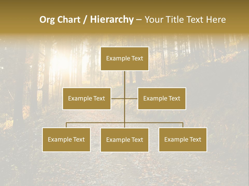 Brunch Ray Rain Forest PowerPoint Template