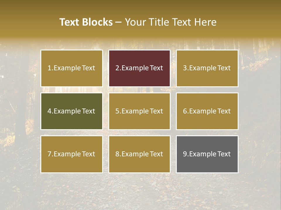 Brunch Ray Rain Forest PowerPoint Template