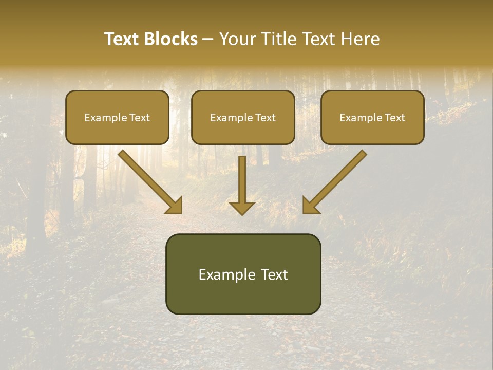 Brunch Ray Rain Forest PowerPoint Template