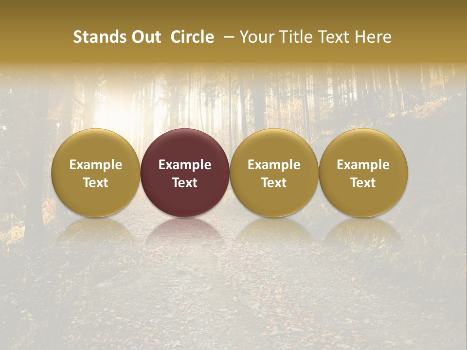 Brunch Ray Rain Forest PowerPoint Template