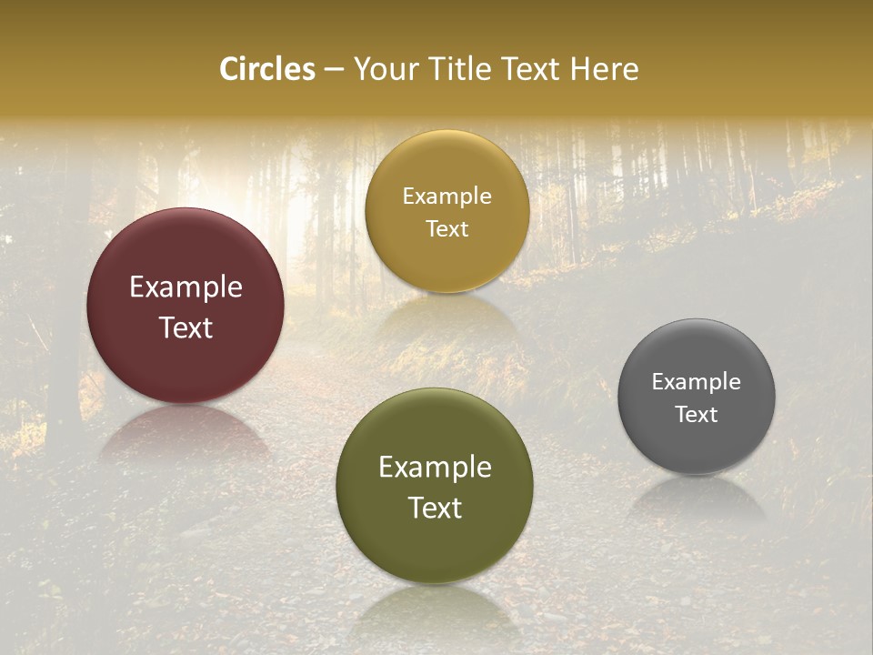 Brunch Ray Rain Forest PowerPoint Template