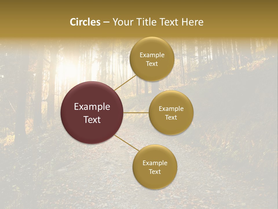 Brunch Ray Rain Forest PowerPoint Template