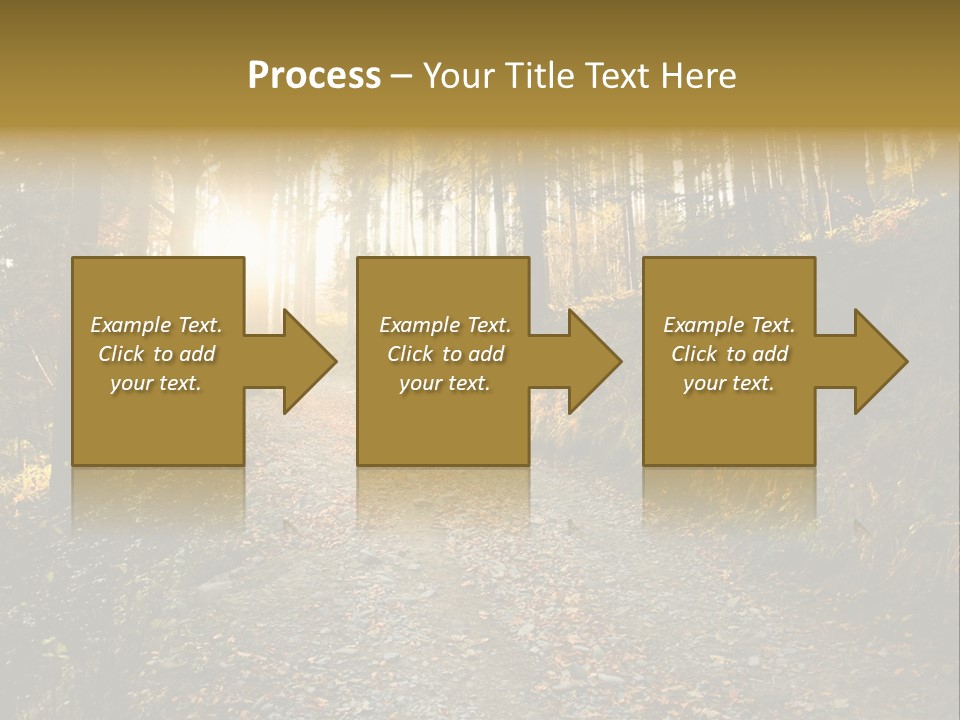 Brunch Ray Rain Forest PowerPoint Template