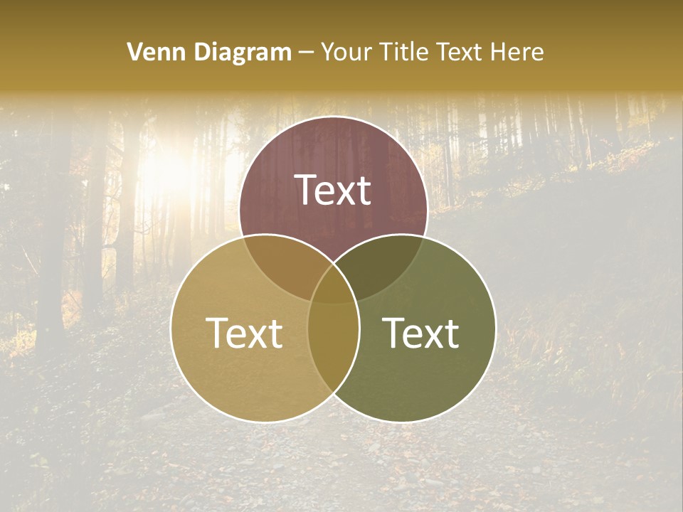 Brunch Ray Rain Forest PowerPoint Template