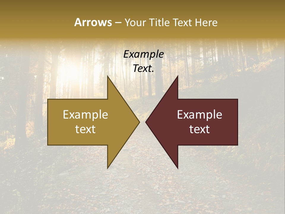 Brunch Ray Rain Forest PowerPoint Template