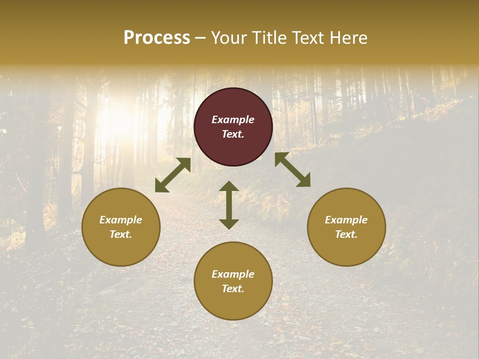 Brunch Ray Rain Forest PowerPoint Template