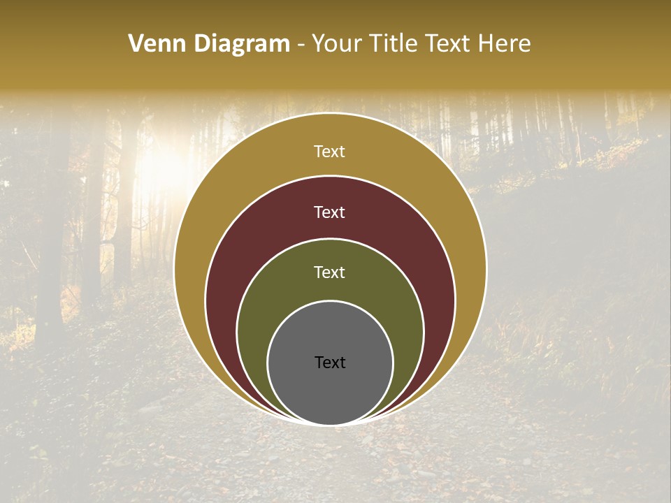 Brunch Ray Rain Forest PowerPoint Template