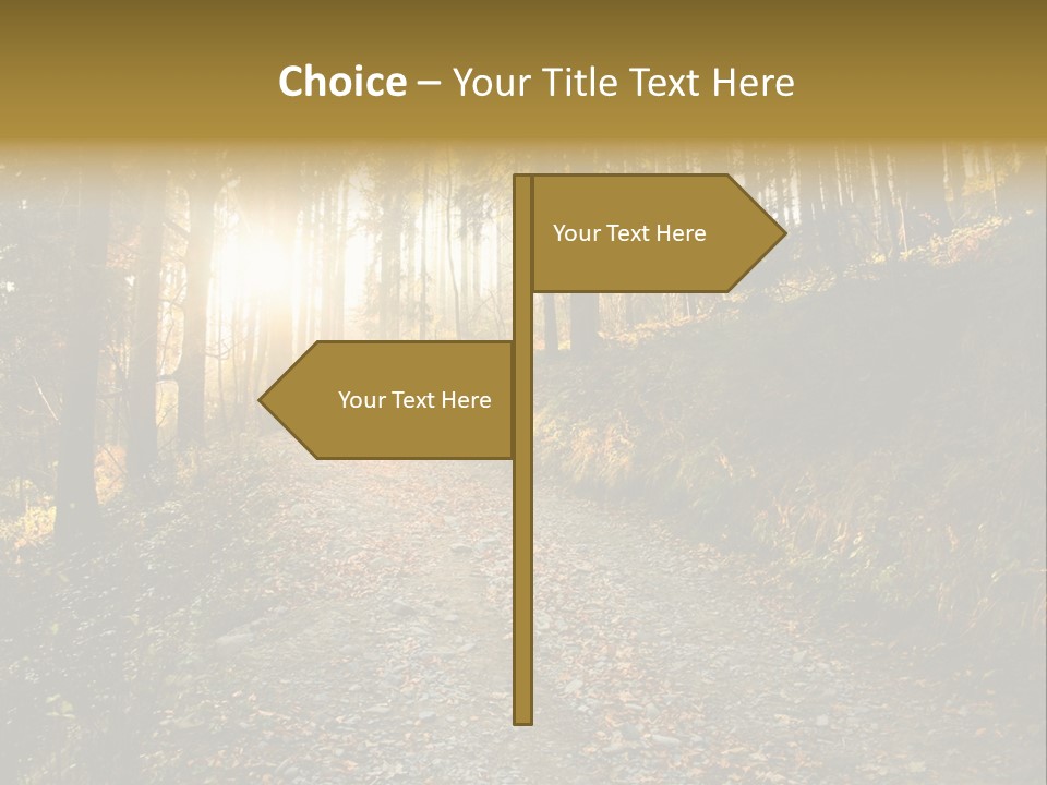 Brunch Ray Rain Forest PowerPoint Template