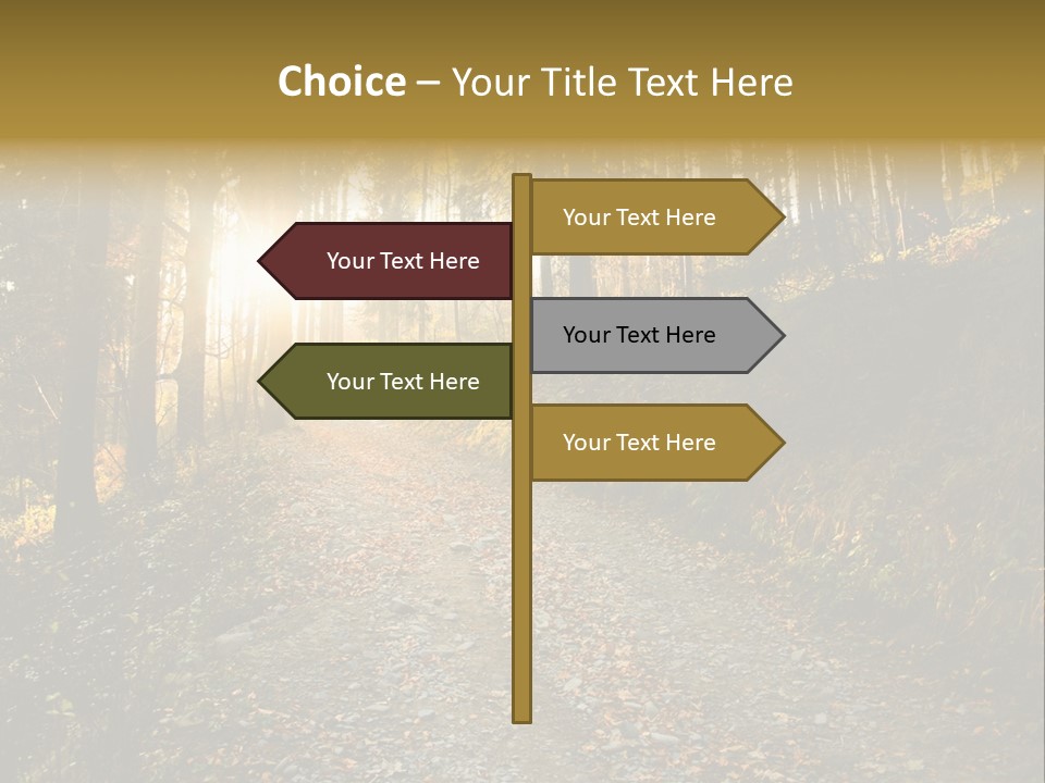 Brunch Ray Rain Forest PowerPoint Template