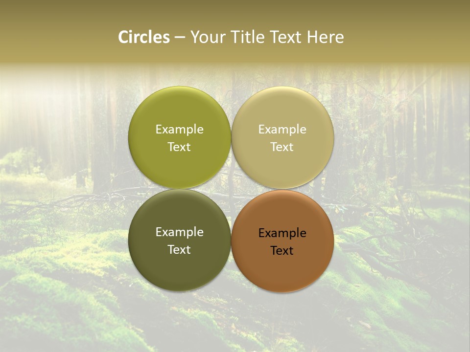 Deep Land Woodland PowerPoint Template