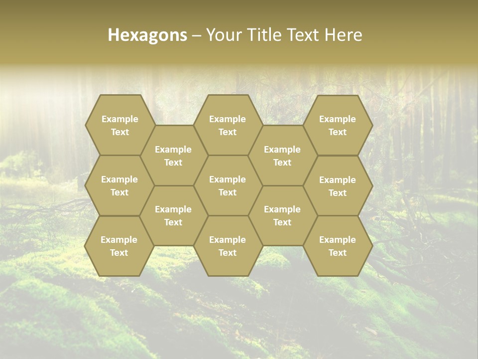 Deep Land Woodland PowerPoint Template