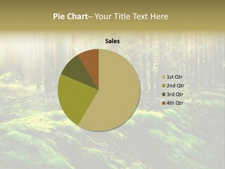 Deep Land Woodland PowerPoint Template